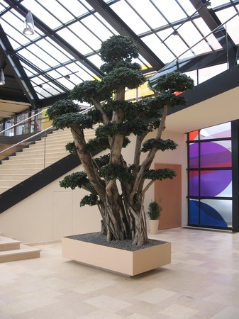 Pflanztrog aus Stahl S 235 mit Wasserauffangwanne und Ablauf,<br> innen mit Kautschuk ausgekleidet,                      au&szlig;en lackiert.