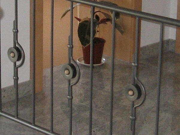 Gel&auml;nder mit Holzhandlauf und Zierstab mit Holzkugel in Kanadisch Ahorn