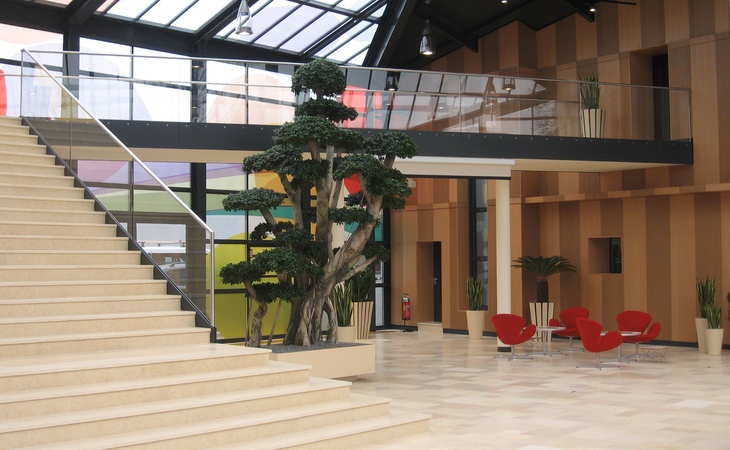 Glasgel&auml;nder mit unterer Einspannung aus Flachstahl, pulverbeschichtet.<br> Glasscheibe VSG TVG 20mm                         Wei&szlig;glas, Handlauf aus Edelstahl geschliffen<br> Korn 240, mit Nutprofil.